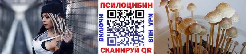 цена наркотик  Дивногорск  Галлюциногенные грибы мухоморы 